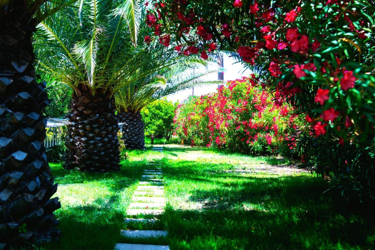 Ancient Meropia - Les Jardins Des Muses Apollonia  Exterior photo
